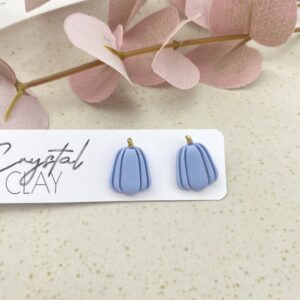 Kürbis Ohrstecker Mittel - Himmelblau