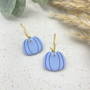 Kürbis Creole (groß) - T30 Himmelblau