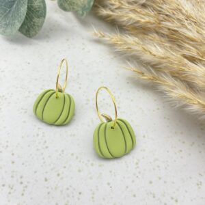 Kürbis Creole (groß) - T50 Pistazie